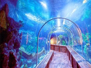 Океанариум Aquamundo